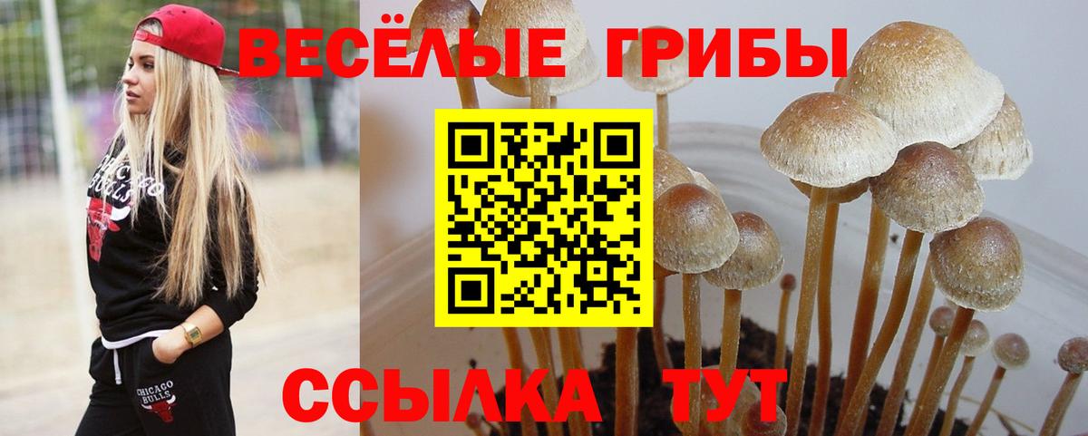 Галлюциногенные грибы MAGIC MUSHROOMS Богородск